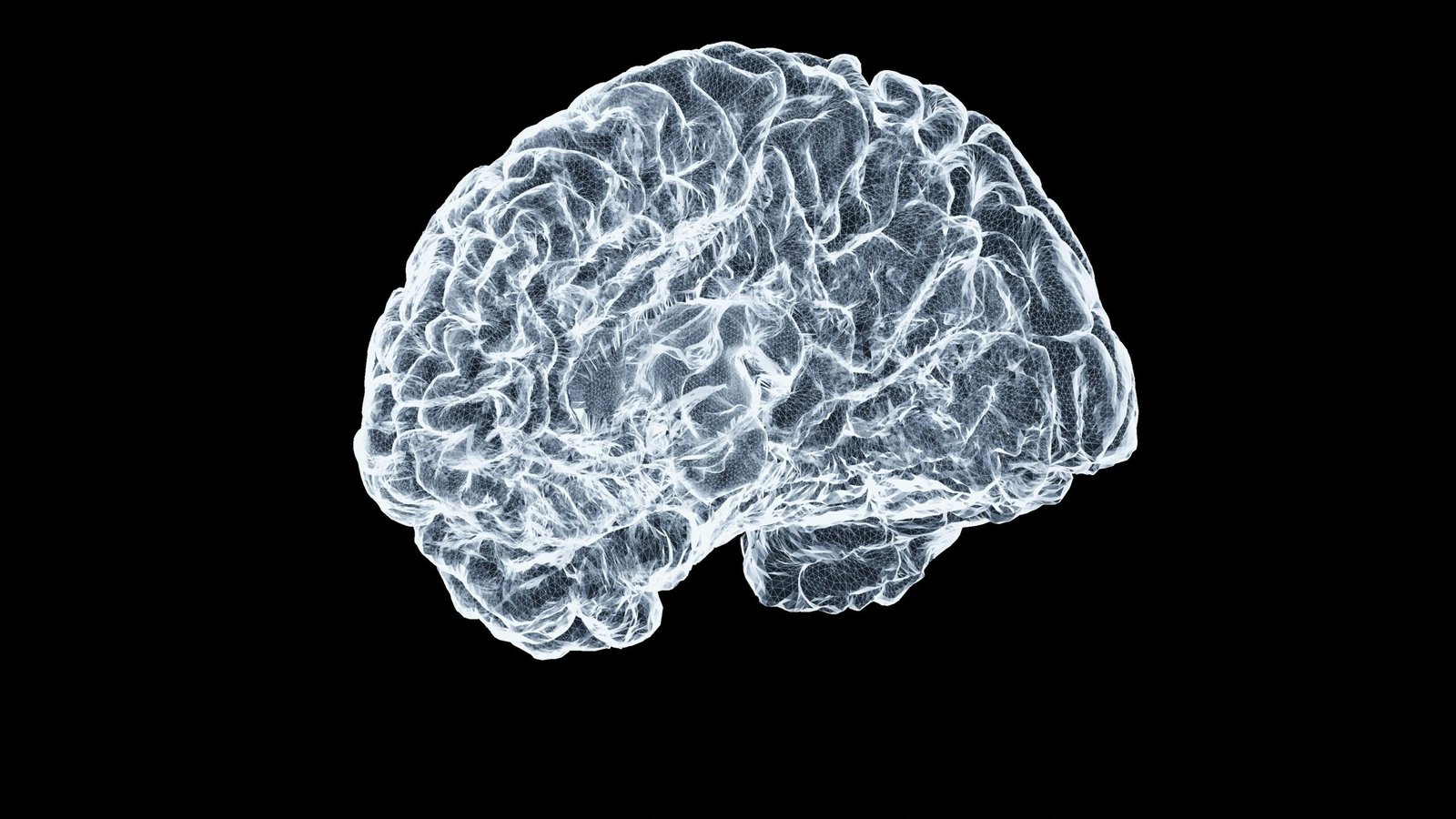 Neurologist consultation